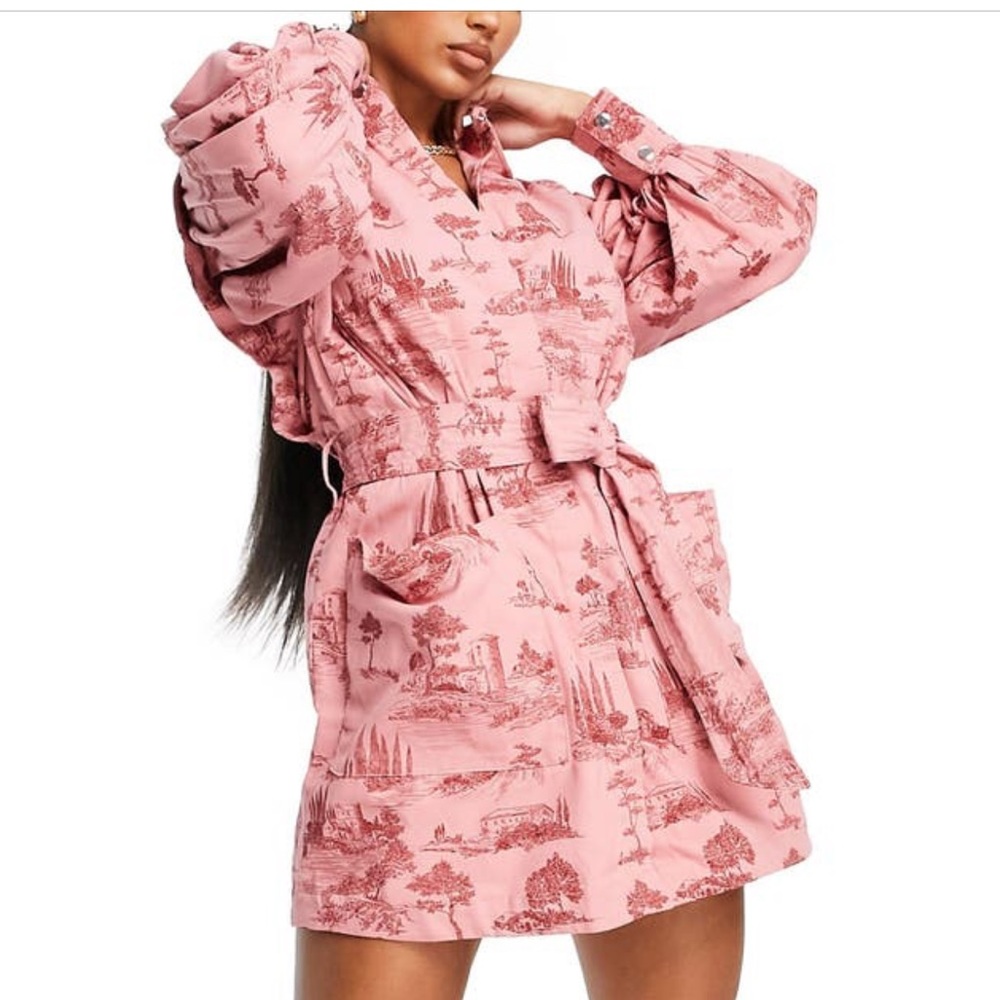 Asos design for Nordstrom tuck sleeve belted shirt dress